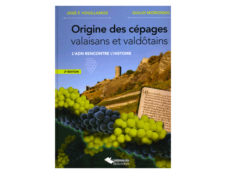02origine-cepages-valaisans-valdotains
