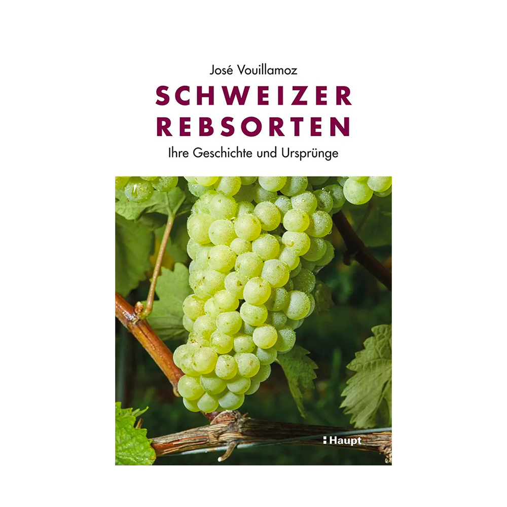 Schweizer Rebsorten - Ihre Geschichte und Ursprünge